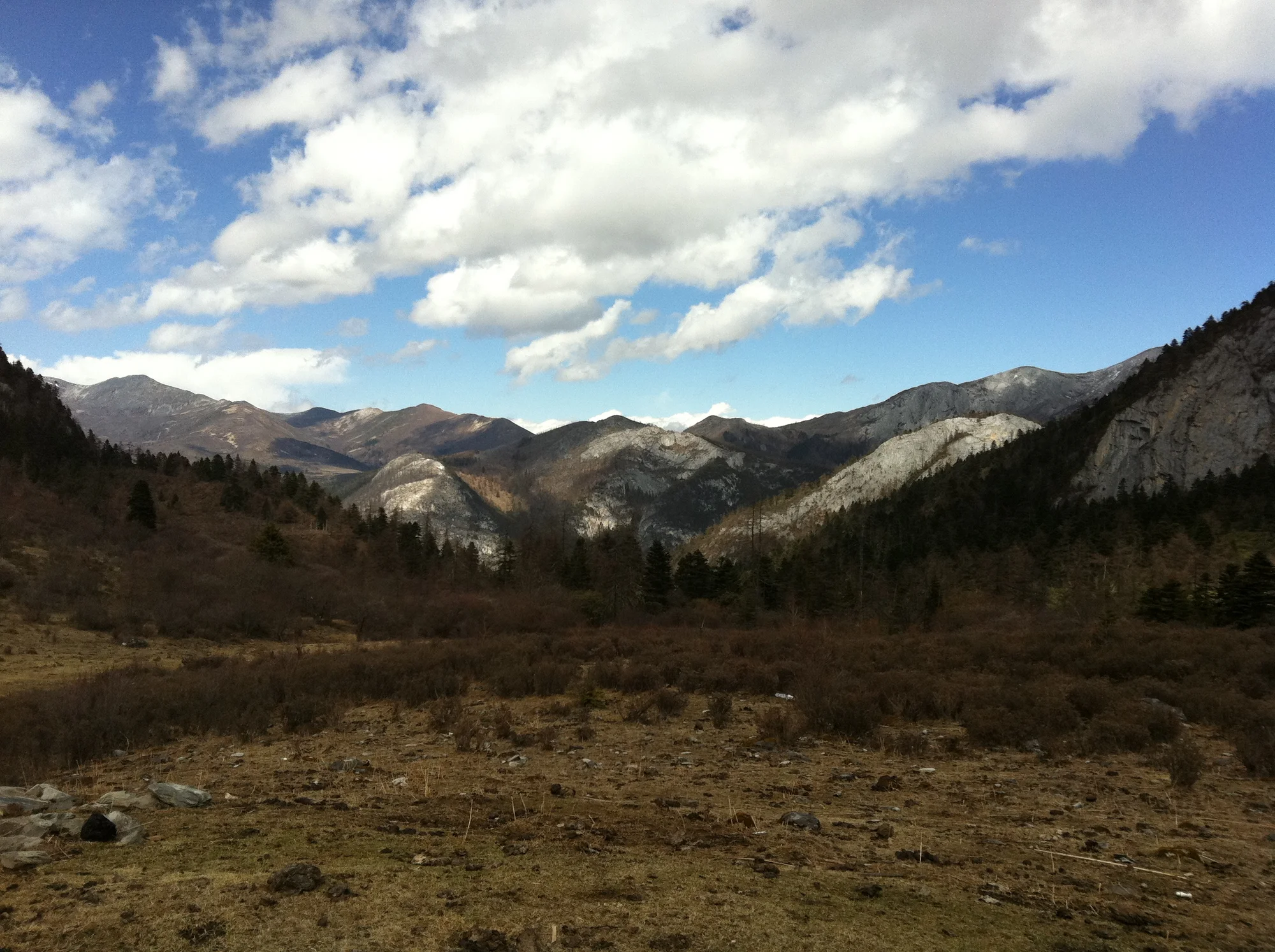 Sky, clouds, mountains, cliffs, grass and forrest