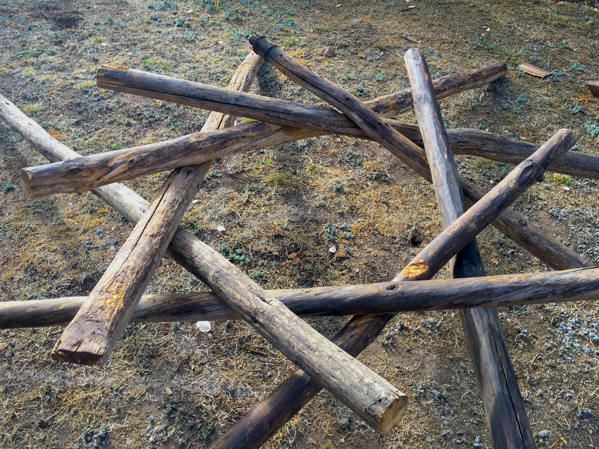 Permaculture building a reciprocal roof