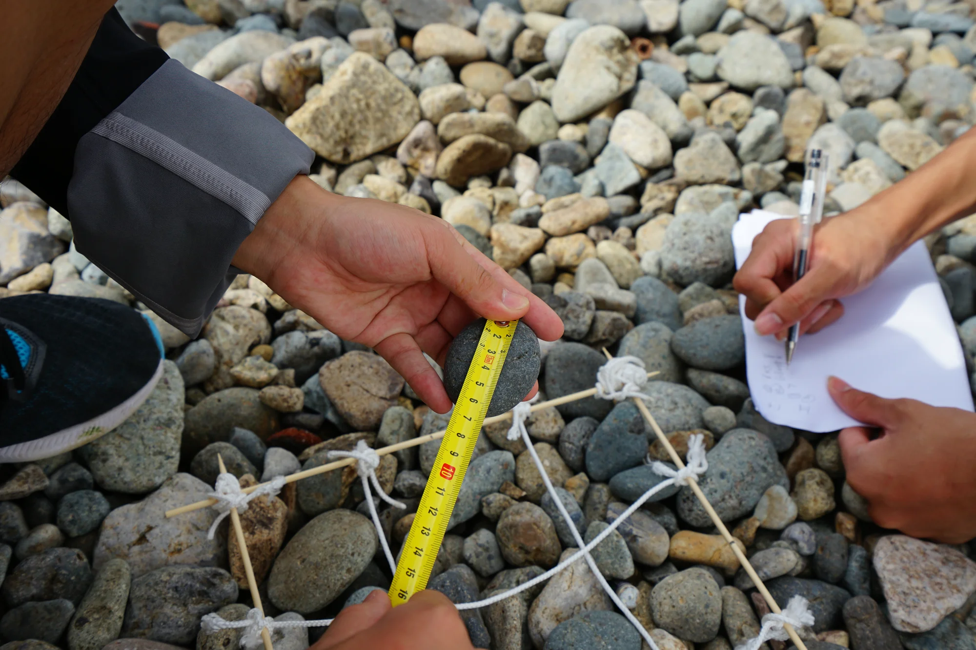Coastal studies in China using a quadrant and tape mesure