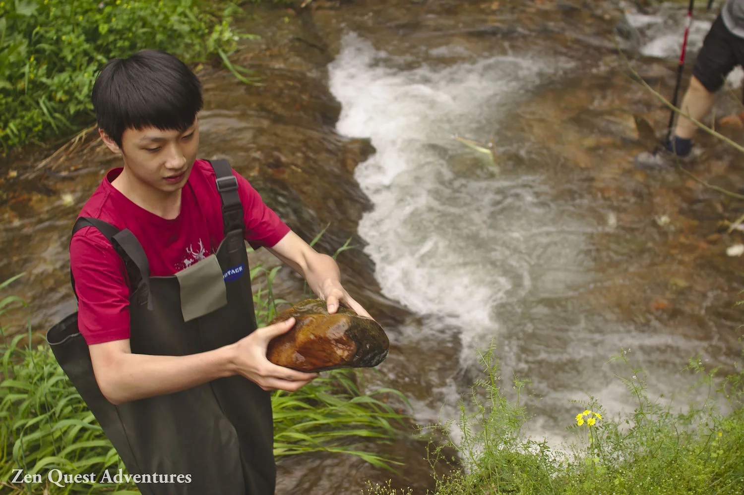 River studies, rock collection, river, student , rock and waders