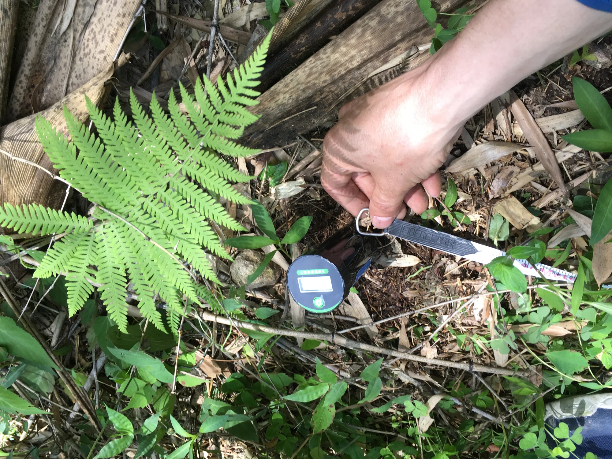 Student doing a soil MPK test in Moganshan China