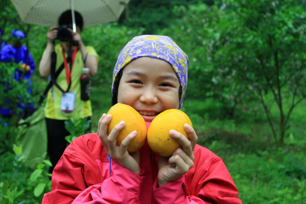 Summer camp, fruit picking, students, grass, trees