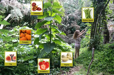 Food Forest