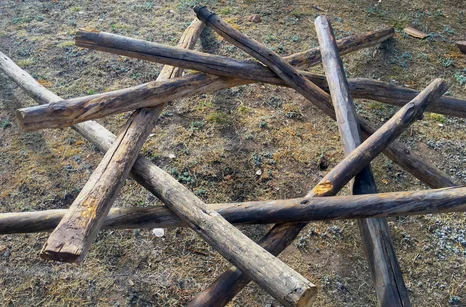 Permaculture building a reciprocal roof