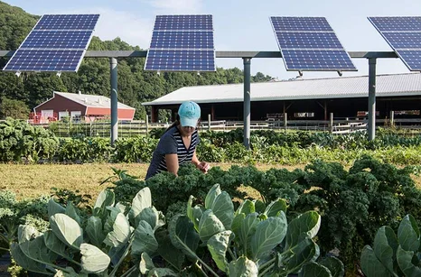 Agrovoltaics
