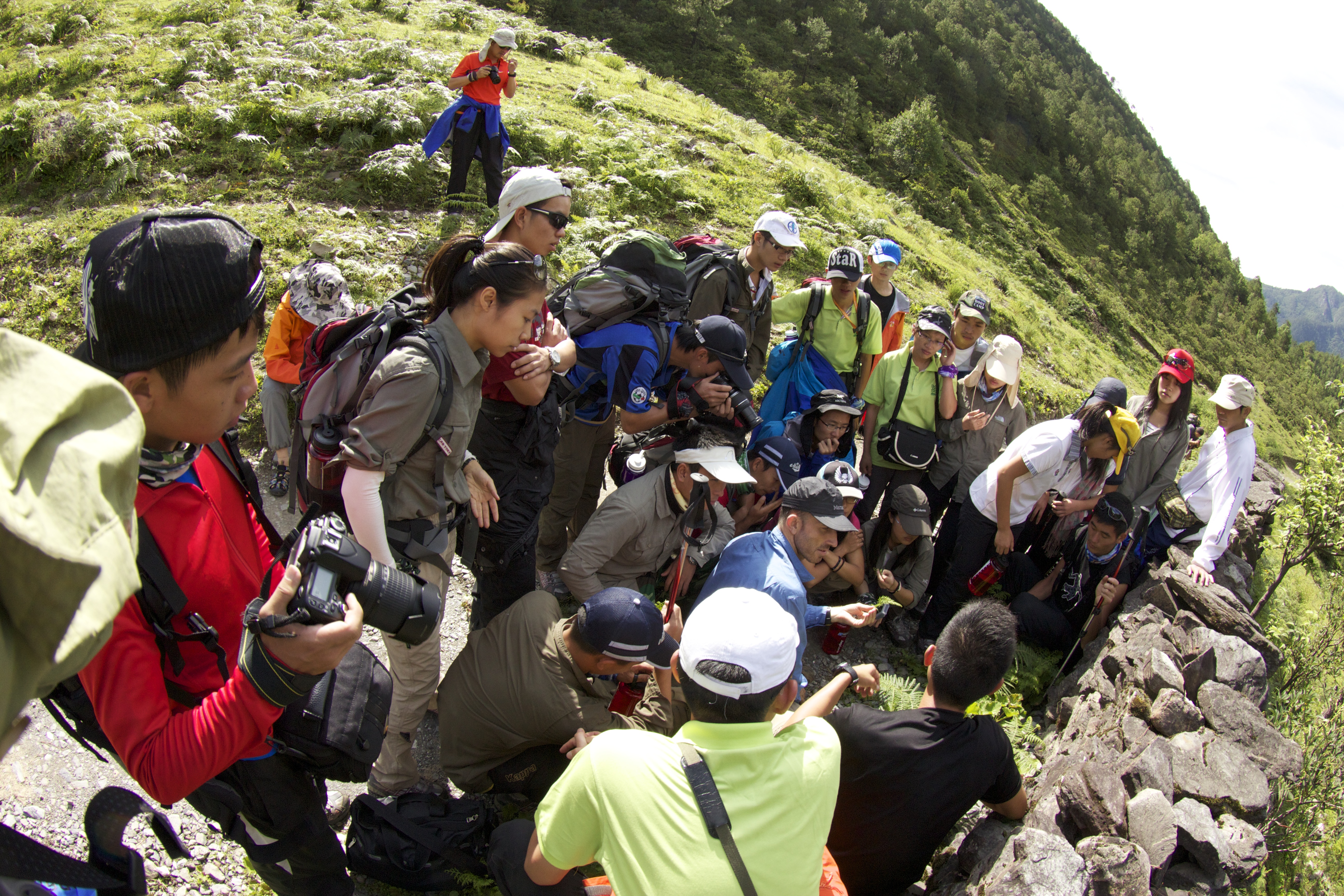 Studying wild flower in Niru Village, Yunnan, China