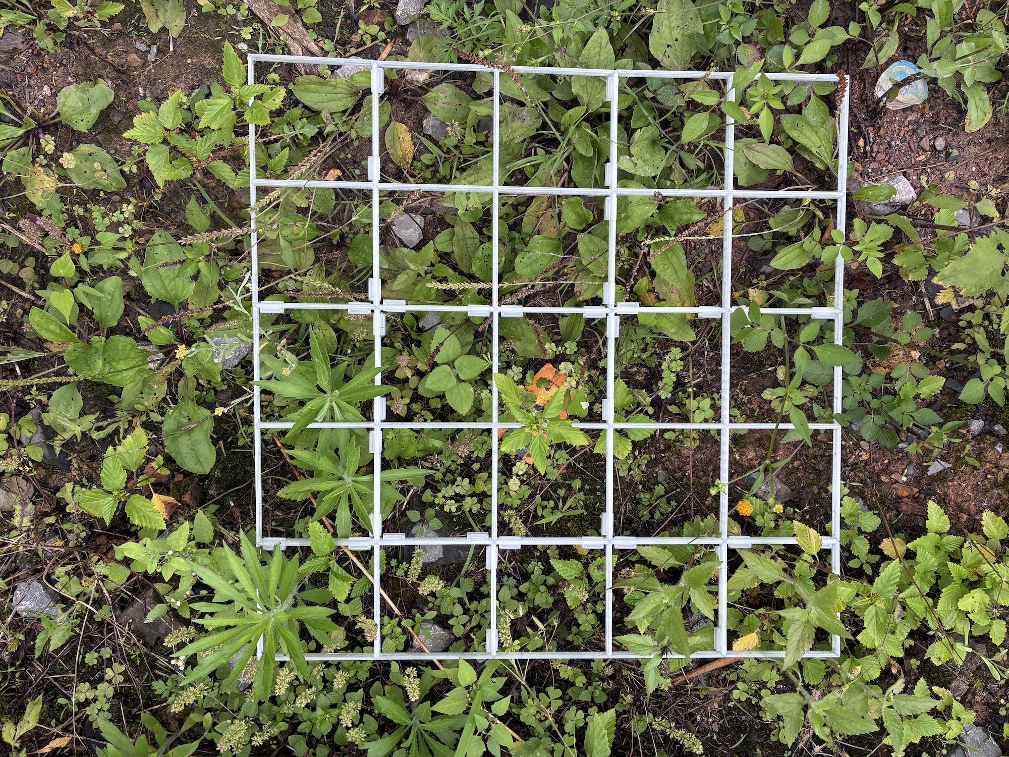 3D printed Quadrat with vegetation on in the spring time