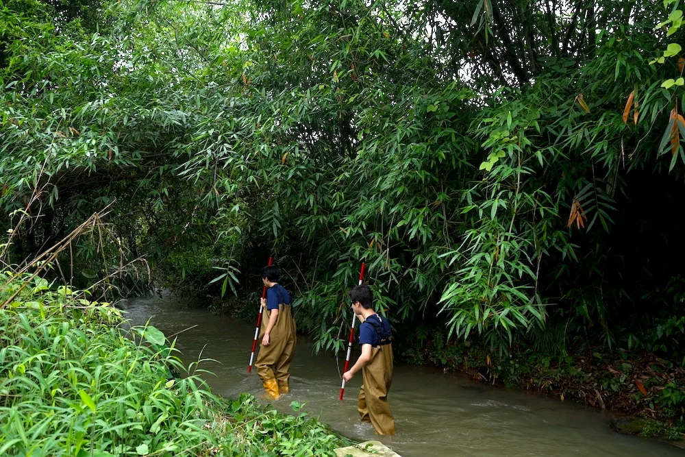 River studies, Yangshuo, Chestnut river