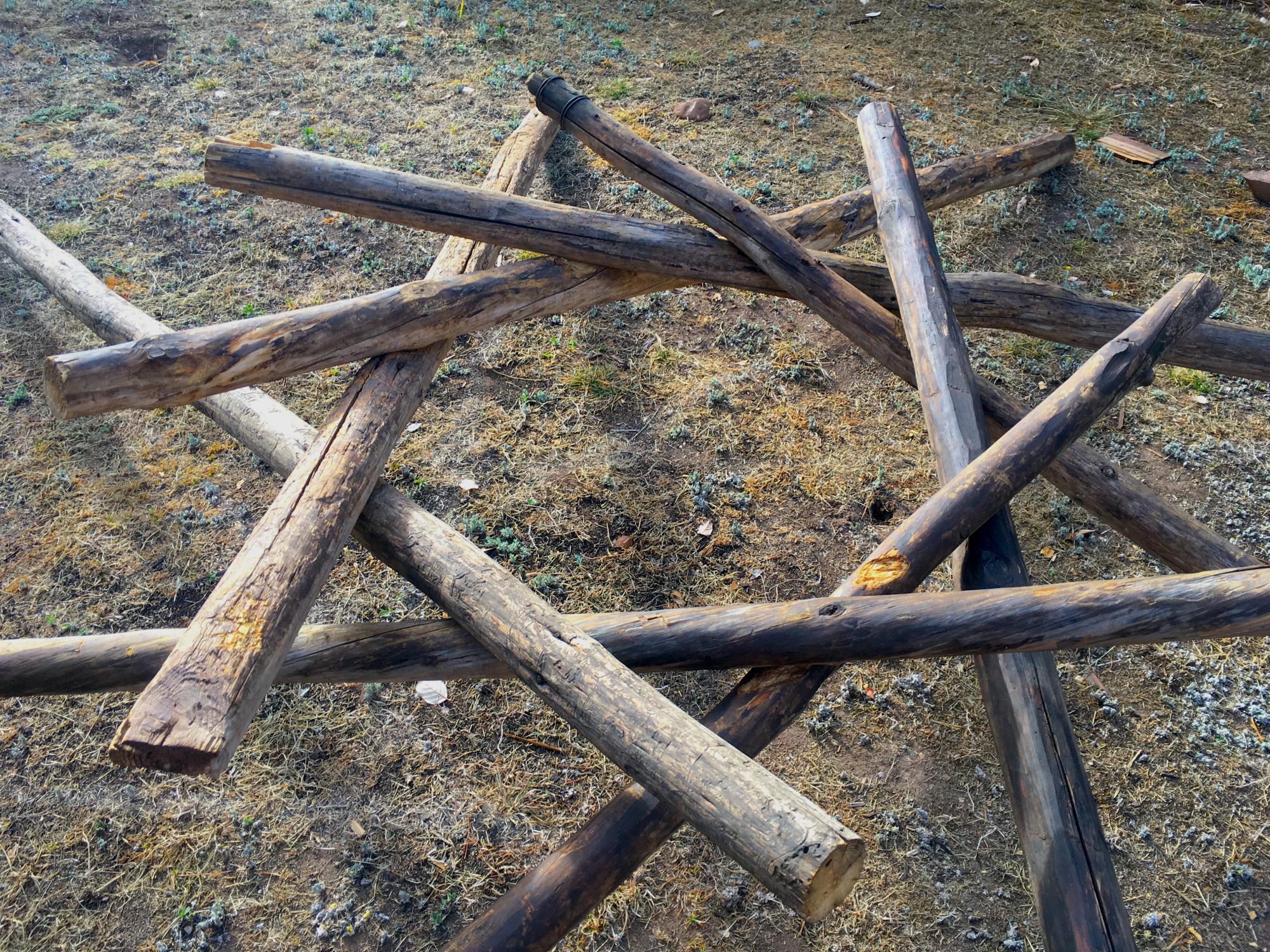 Permaculture building a reciprocal roof