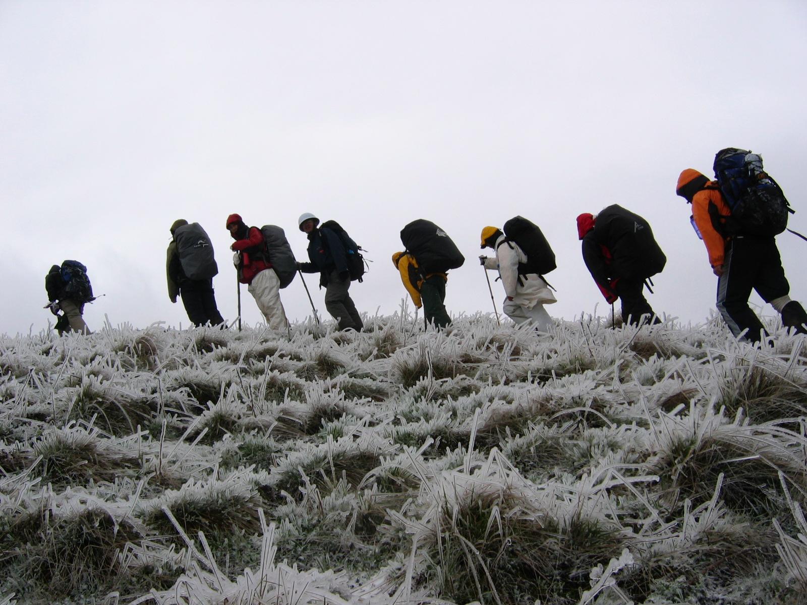 Winter trekking, group photo, long frost covered grass