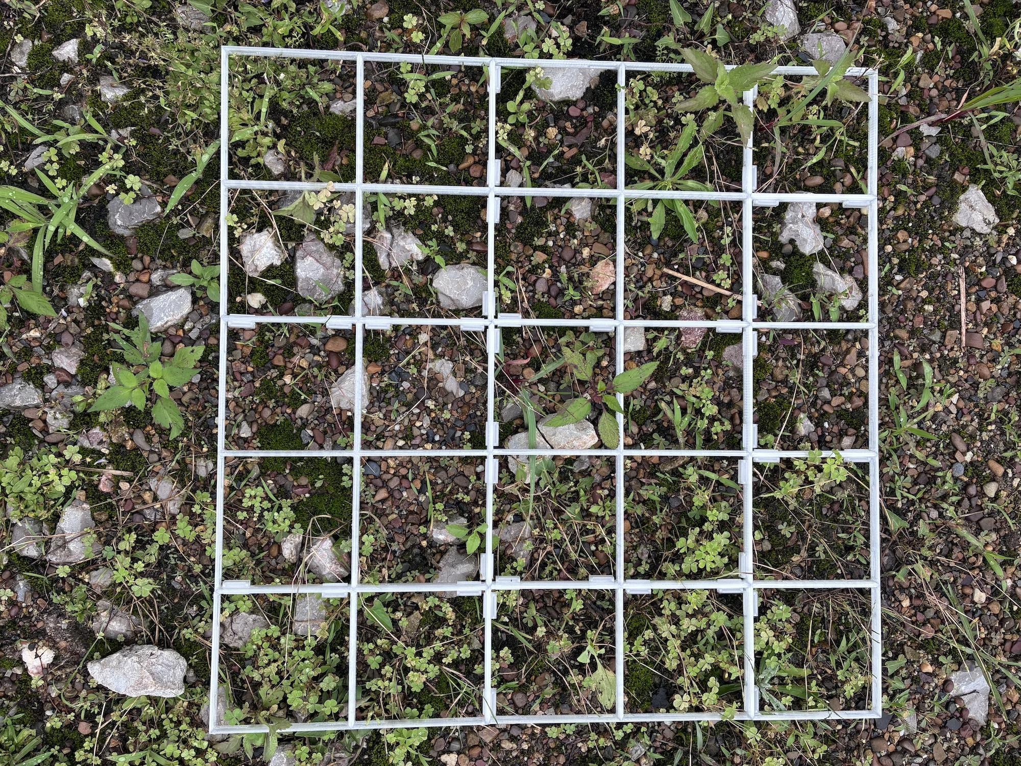 Quadrate on the ground with vegitation