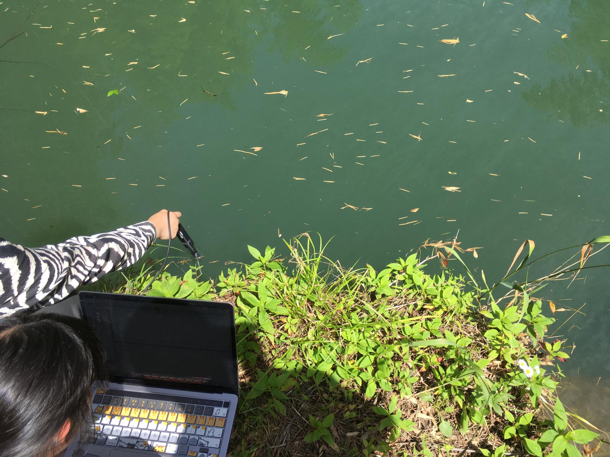 ESS field work, water testing, PH sensor and computer in the field