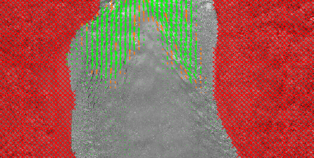 PIVLab Drone Cropped