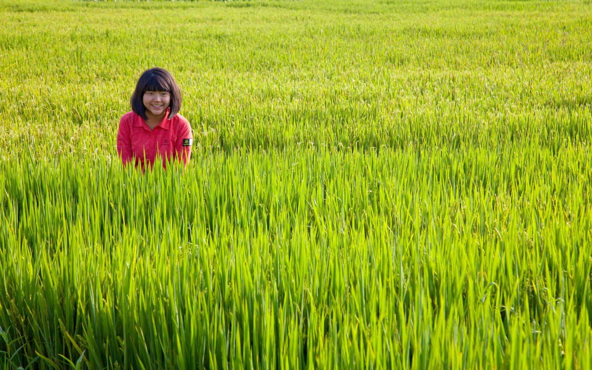 Shaxi rice field, with one student