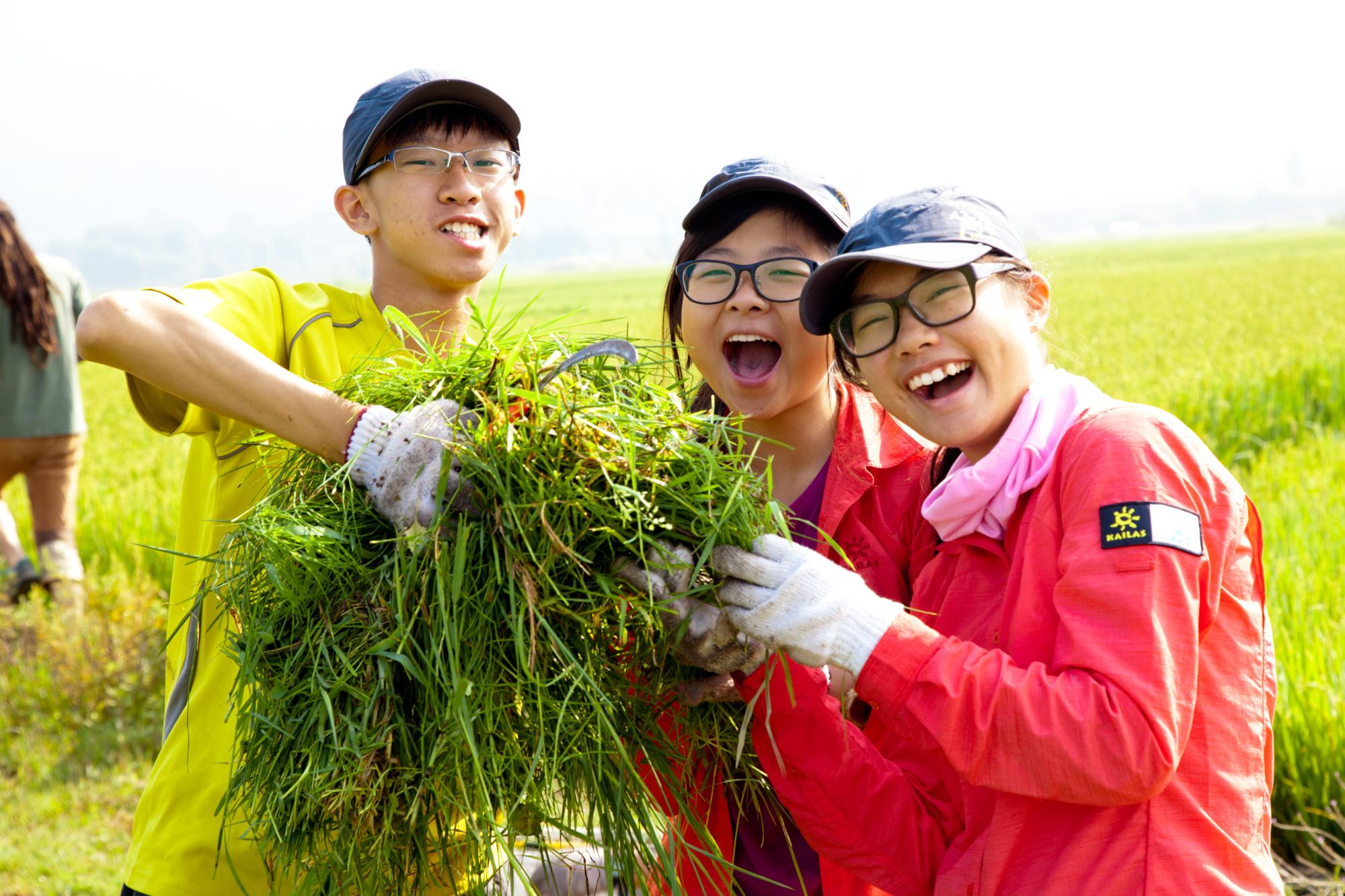 Students and cut grass, animal feeding in Shaxi, China