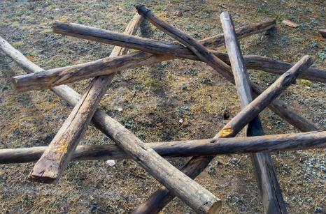 Permaculture building a reciprocal roof